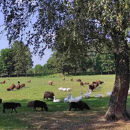 Farma Puchalowo Екстер'єр фото