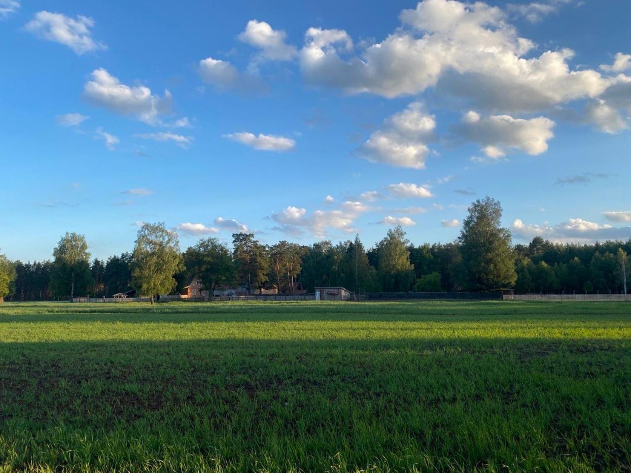 Bauernhof Farma